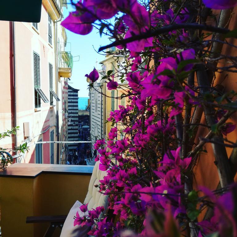 Bed and Breakfast L'Antica Terrazza Монтероссо-аль-Маре Экстерьер фото